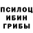 Галлюциногенные грибы Psilocybe GooseyShow